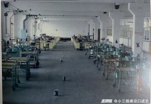 從軍工電機到特種電機 上海小三線五洲電機廠鳳凰涅槃之路